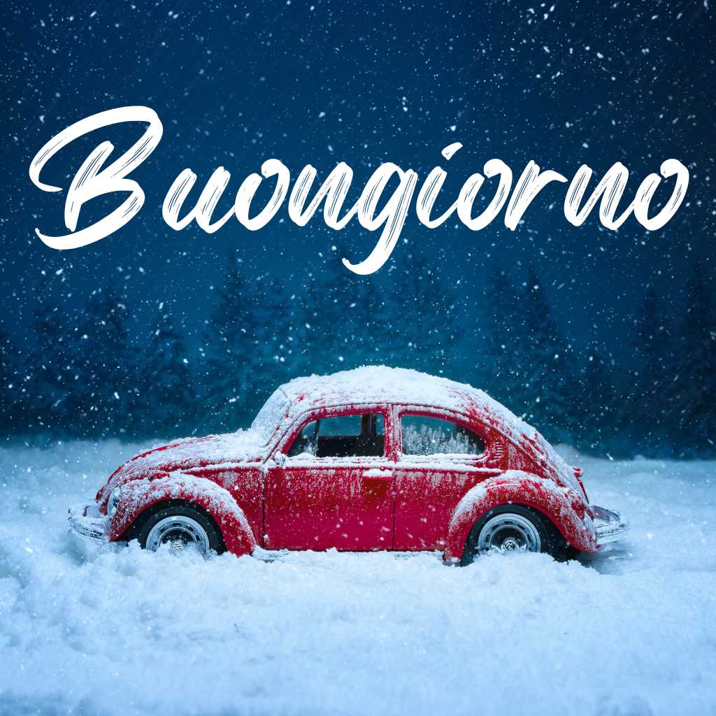 buongiorno invernale 2024