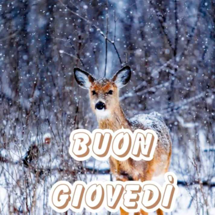 immagine buon giovedì invernale