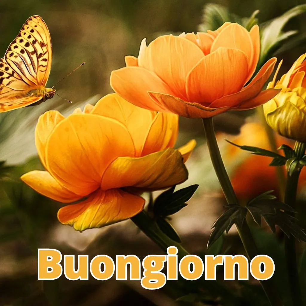 buongiorno immagini